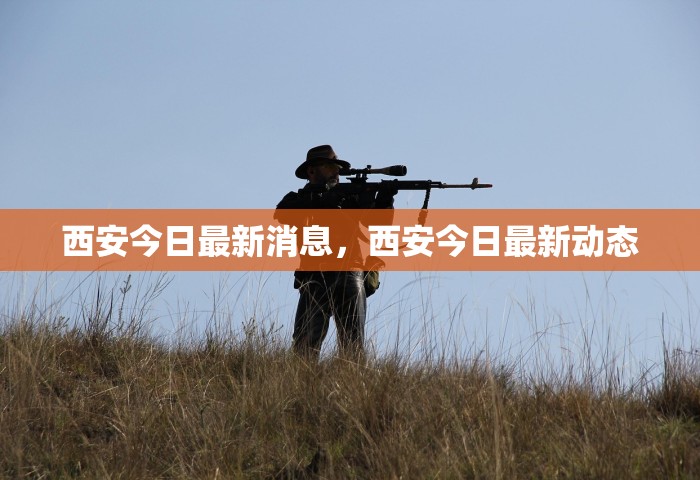 西安今日最新消息，西安今日最新动态