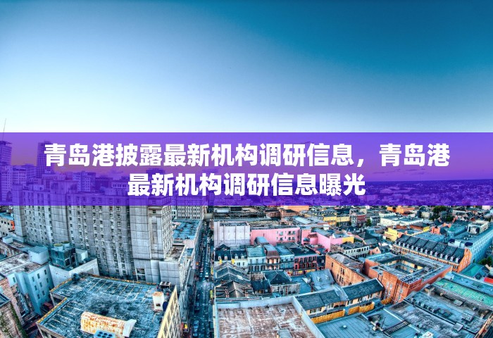 青岛港披露最新机构调研信息，青岛港最新机构调研信息曝光